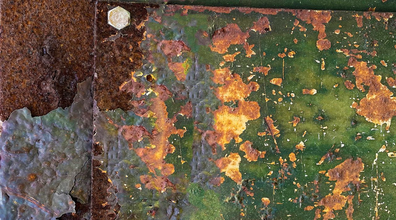 Fenomenalios akimirkos: nuotraukos, kurios nušviečia mūsų pasaulio mokslą